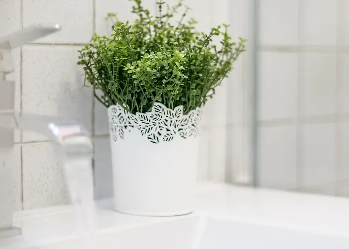 Wine Franciacorta * فلورنس